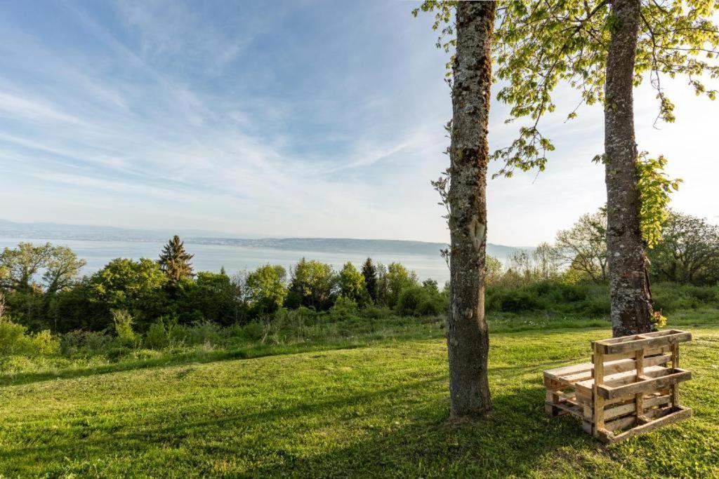 Vue Lac Leman & Piscine - Parking Free - Confort Appart 6 Pers Лугрин Экстерьер фото